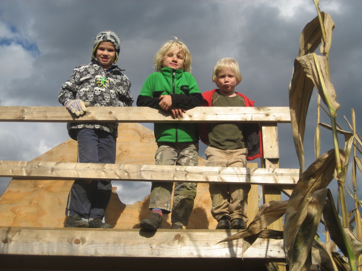 The Sailing With Kids&nbsp;Blog