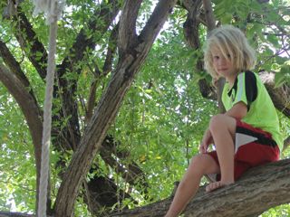 Nanny Cay – Sailing Kids&nbsp;Review